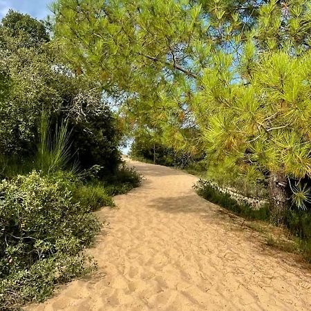 Appart' Islande Le Chateau d'Oleron Bagian luar foto