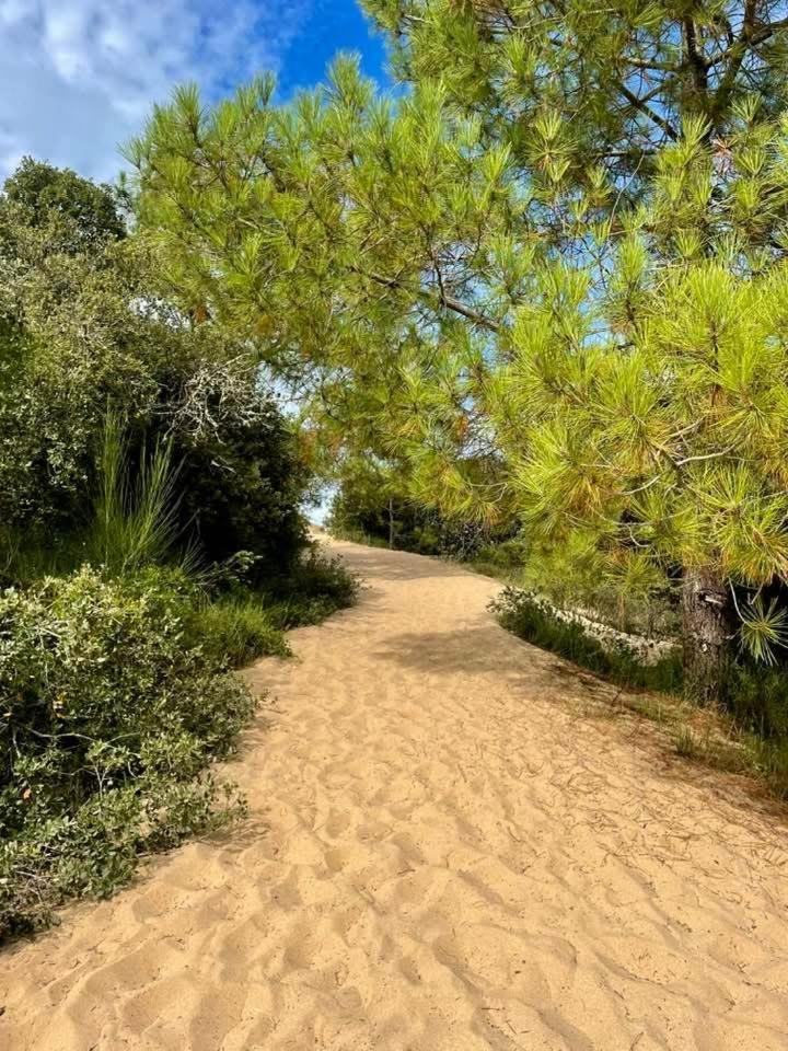 Appart' Islande Le Chateau d'Oleron Bagian luar foto